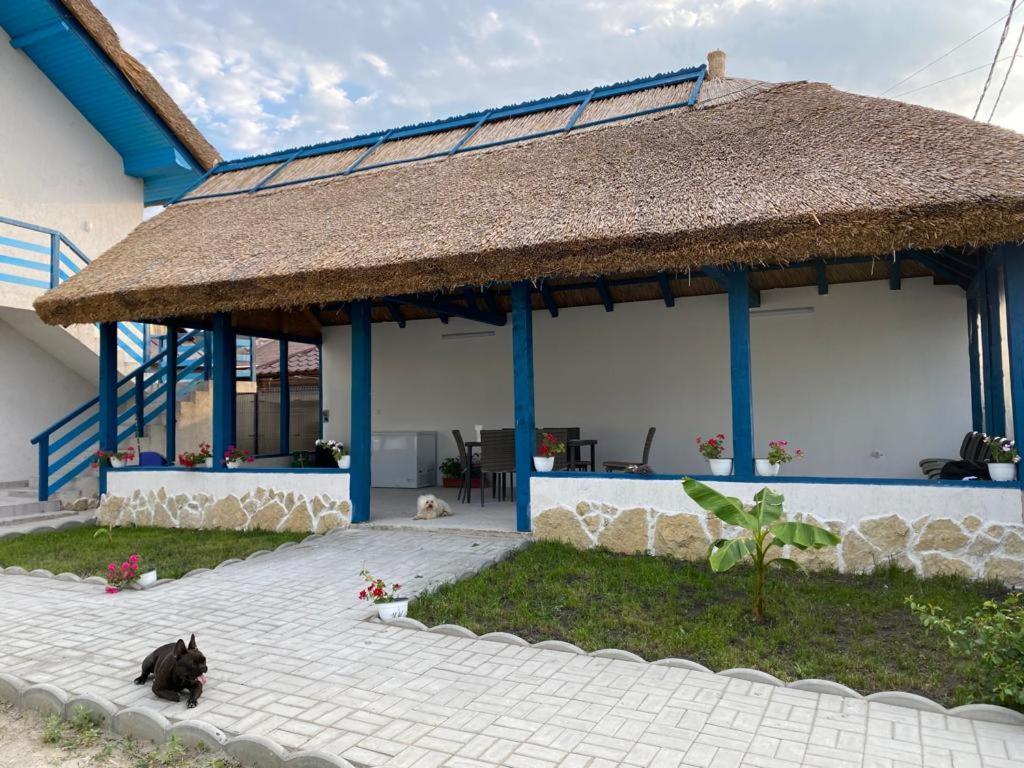 Hotel Casa Munteanu à Mila Douăzeci şi Trei Extérieur photo